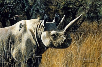 animales rinoceronte negro Pinturas al óleo